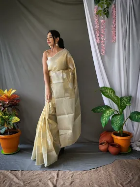 Chickoo Saree in Linen Silver Zari for women