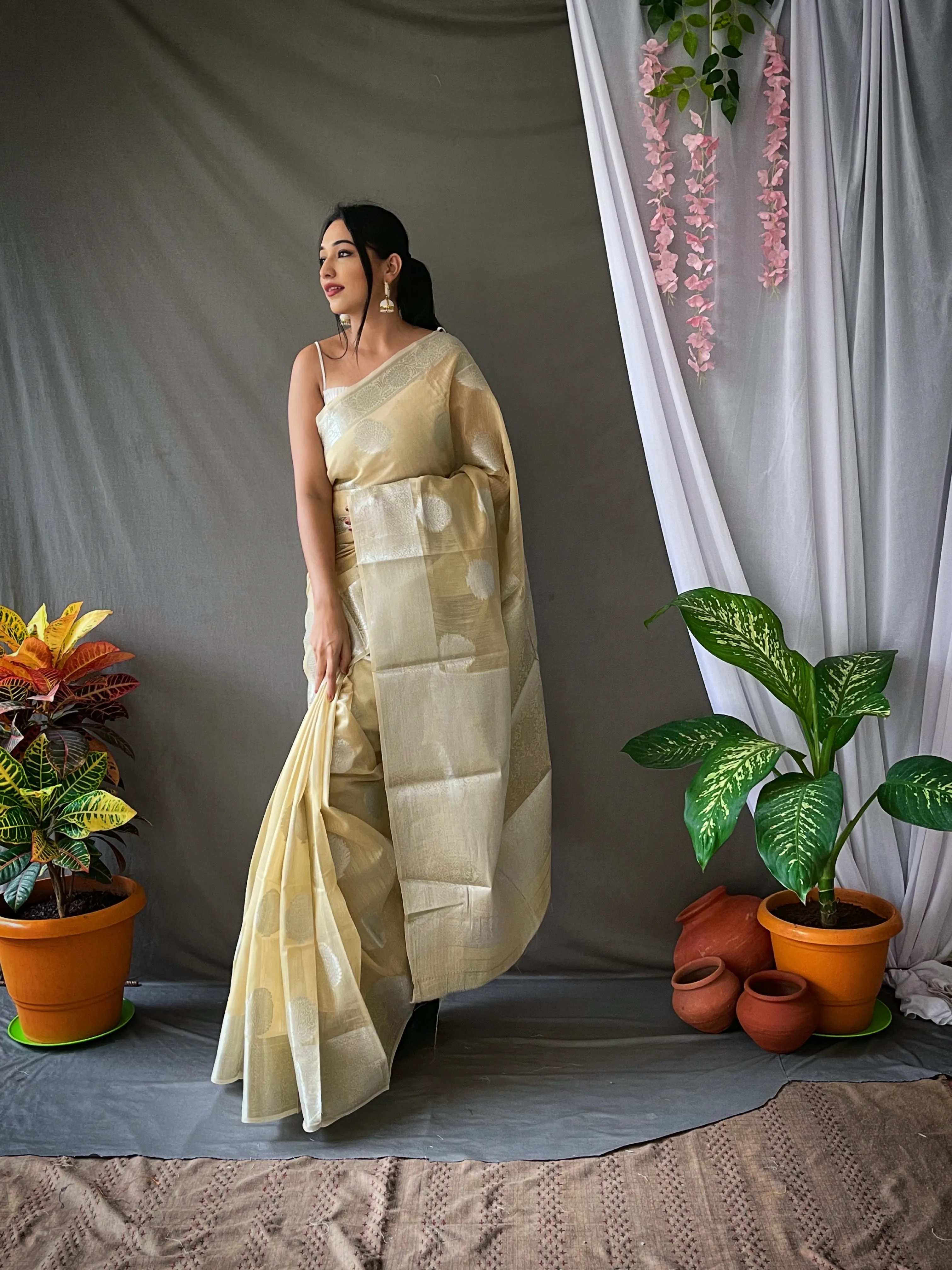 Chickoo Saree in Linen Silver Zari for women