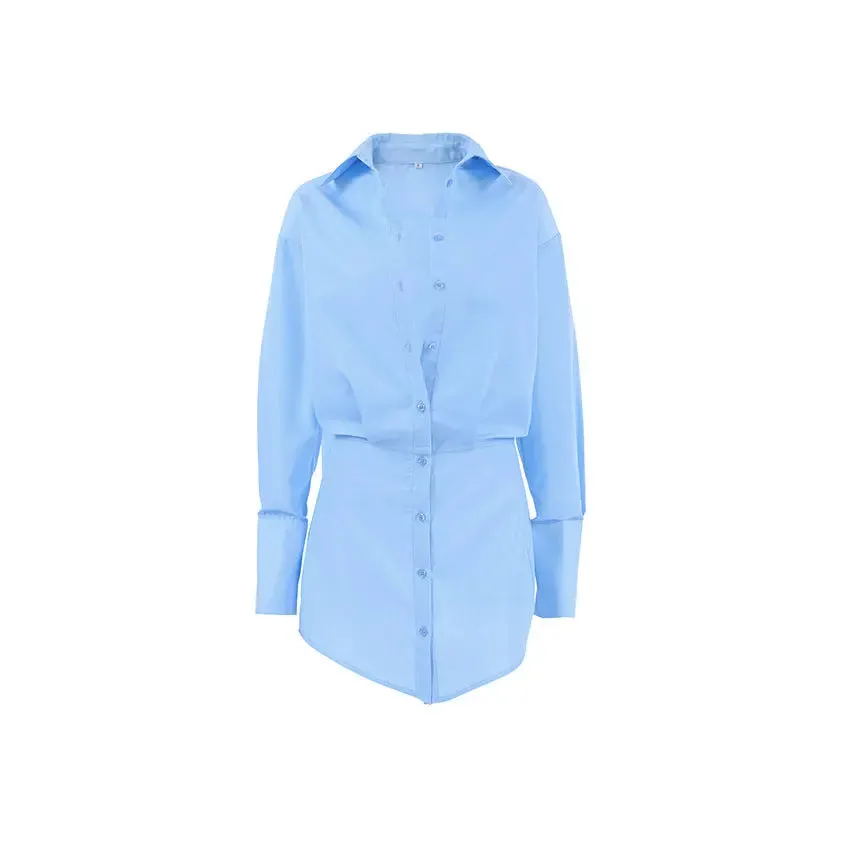Slim Fit Sheath Shirt Dress
