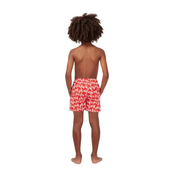 TOM & TEDDY - Boy's Shorts  (Red & White Turtles)