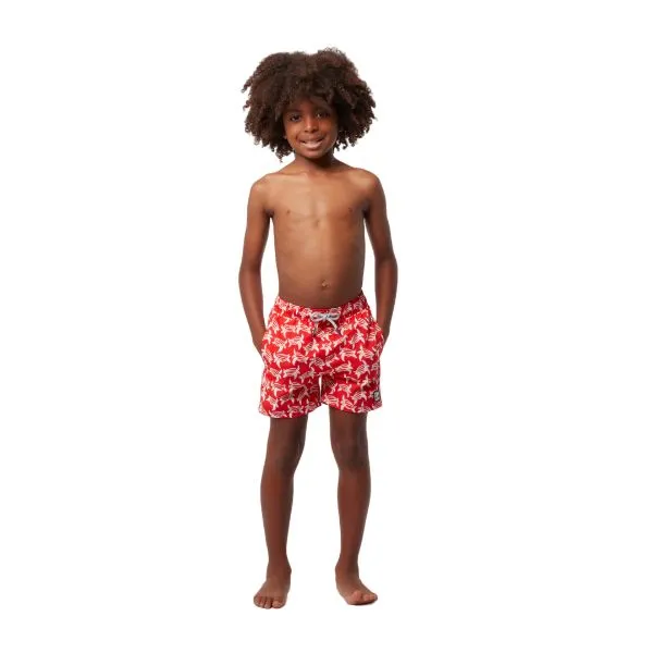 TOM & TEDDY - Boy's Shorts  (Red & White Turtles)