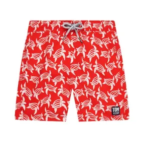 TOM & TEDDY - Boy's Shorts  (Red & White Turtles)